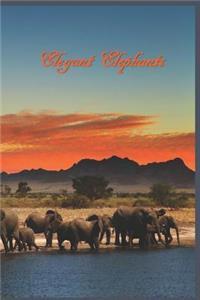 Elegant Elephants