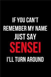 If You Can't Remember My Name Just Say Sensei I'll Turn Around