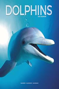 Dolphins 2021 Wall Calendar