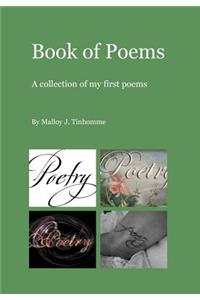 Book of Poems: A Collection of My First Poems