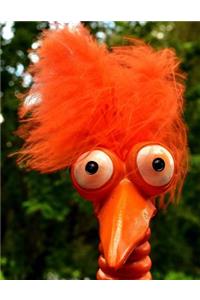 Notebook: Orange Fuzzy Hair Bird Cover - Lined Notebook - Journal - Composition Book - 8.5 X 11 Paper - College Ruled - 100 Pages