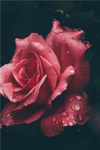 Rose Journal
