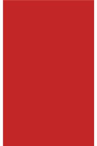 Red 101 - Lined with Margins Notebook (Narrow)
