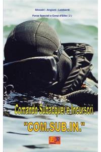 Comando Subacquei e Incursori 