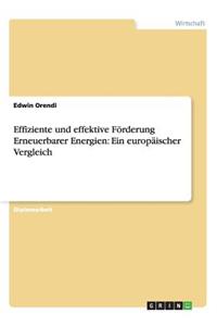 Effiziente und effektive Förderung Erneuerbarer Energien