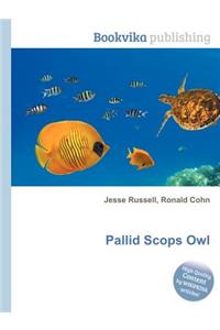 Pallid Scops Owl