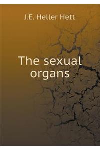 The Sexual Organs