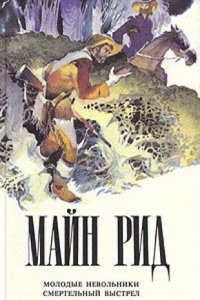 Amores Y Leyes (Spanish Edition)