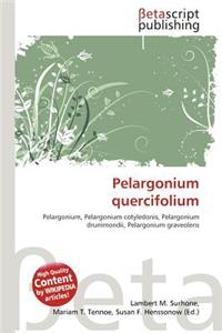 Pelargonium Quercifolium