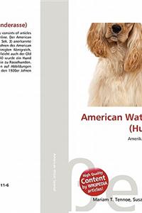 American Water Spaniel (Hunderasse)