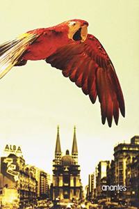 El guacamayo rojo