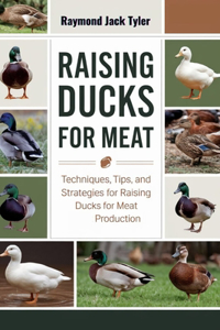 Raising Ducks for Meat