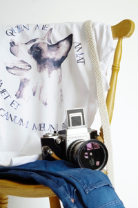 T-Shirt Design Earning