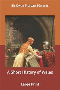 A Short History of Wales: Large Print