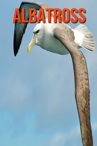Albatross