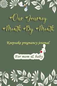 Our Journey Month By Month Keepsake Pregnancy Journal For Mom And Baby