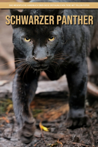 Schwarzer Panther