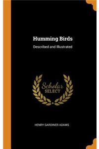 Humming Birds: Described and Illustrated