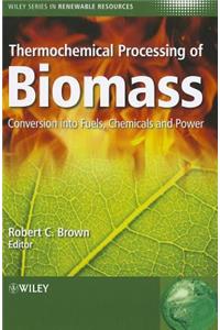 Thermochemical Processing of Biomass: Conversion Into Fuels, Chemicals and Power