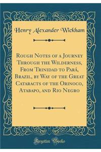 Rough Notes of a Journey Through the Wilderness, from Trinidad to Parï¿½, Brazil, by Way of the Great Cataracts of the Orinoco, Atabapo, and Rio Negro (Classic Reprint)