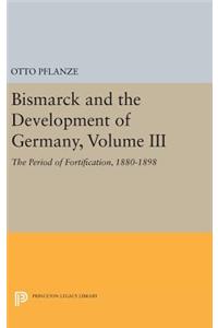 Bismarck and the Development of Germany, Volume III