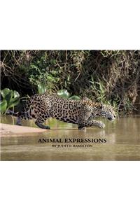 Animal Expressions