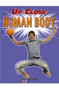 Human Body