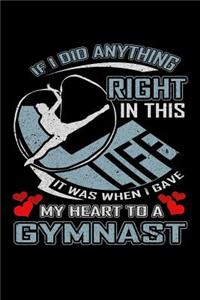 If I Did Anything Right in This Life It Was When I Gave My Heart to a Gymnast