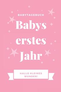 Babytagebuch Babys Erstes Jahr Hallo Kleines Wunder