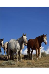 Horse Photo School Composition Book Equine Standing Horses Western Pasture