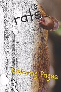 Rat Coloring Pages
