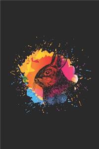 Rabbit Splash