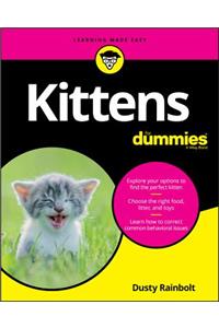 Kittens for Dummies