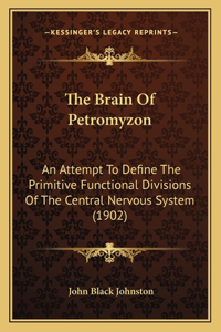 Brain Of Petromyzon