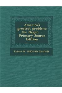 America's Greatest Problem: The Negro