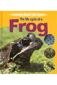 Life Cycle of a Frog
