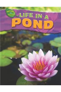 Life in a Pond