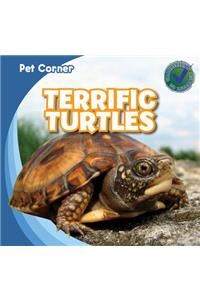 Terrific Turtles