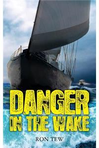 Danger in the wake