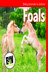 Foals