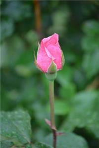 Pink Rosebud Journal