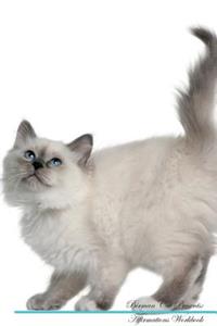Birman Cat Affirmations Workbook Birman Cat Presents