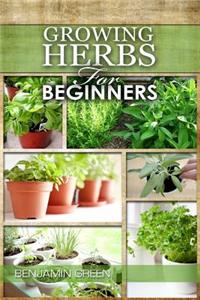 Growing Herbs for Beginners