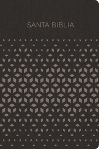 Rvr 1960 Biblia Para Regalos Y Premios, Negro/Plata Símil Piel