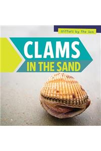 Clams in the Sand