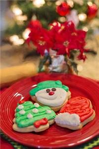 Decorated Cookies for Santa Journal
