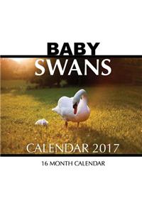Baby Swans Calendar 2017