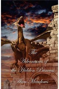 Adventures of the Hidden Princess