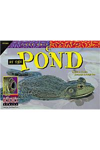 At the Pond