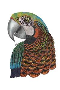 Tangleeasy Lined Journal Parrot